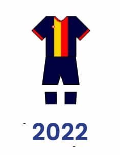 Camiseta 2022
