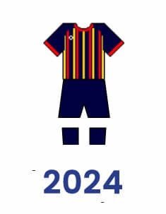 Camiseta 2024