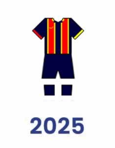Camiseta 2025